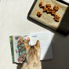 cat reading cookbook